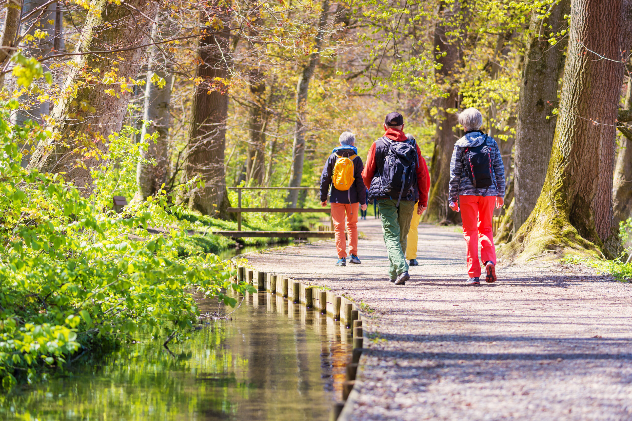 senioren beim wandern / laufen