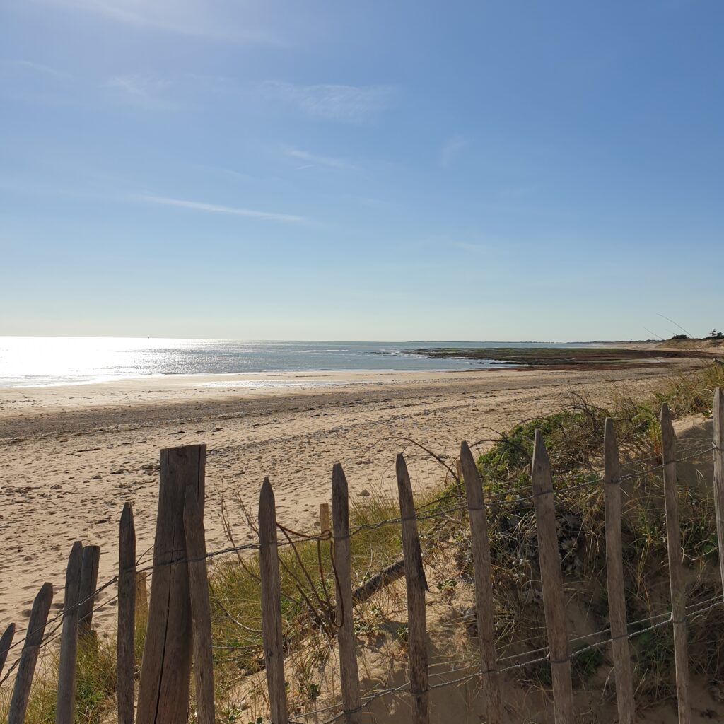 arteslevillageoceanique iledere (38)